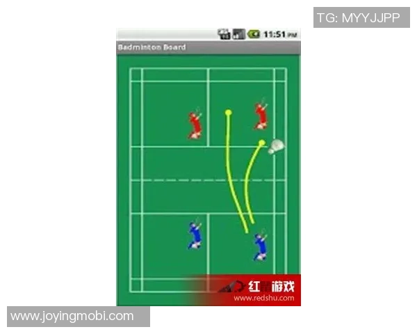 北京羽毛球队区域防守体系解析及其战术应用研究